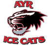 Ayr Ice Cats